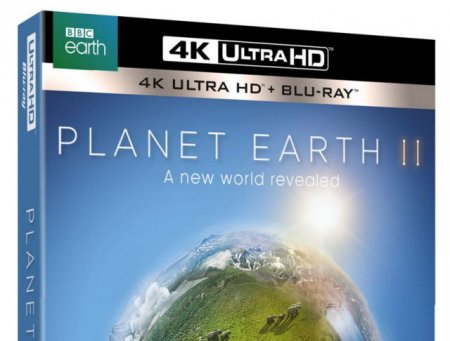 Planet Earth II Season 1 Episode 06 Cities 4K BluRay REMUX